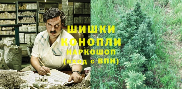 дмт Елабуга