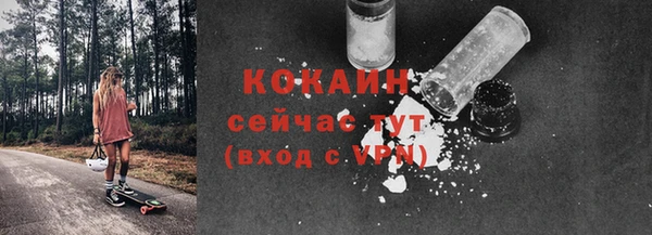 дмт Елабуга