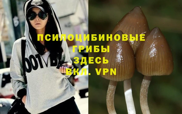 MESCALINE Ельня