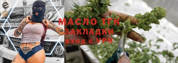 дмт Елабуга